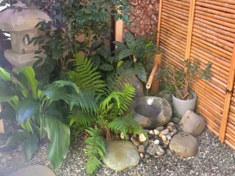 Diseño Jardines Costa Rica Deco Zen Design Costa Rica Construex