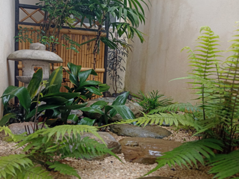 Remodelación Jardines Costa Rica Deco Zen Design Costa Rica Construex