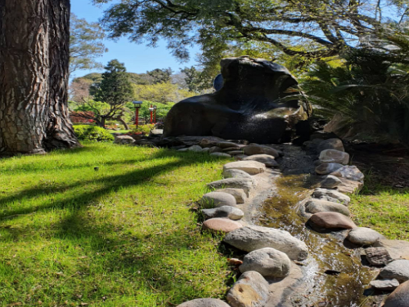 Mantenimiento Jardín Costa Rica Deco Zen Design Costa Rica Construex