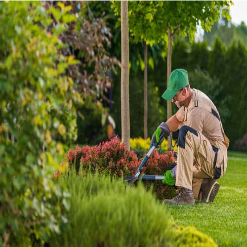Jardineros Costa Rica Deco Zen Design Costa Rica Construex
